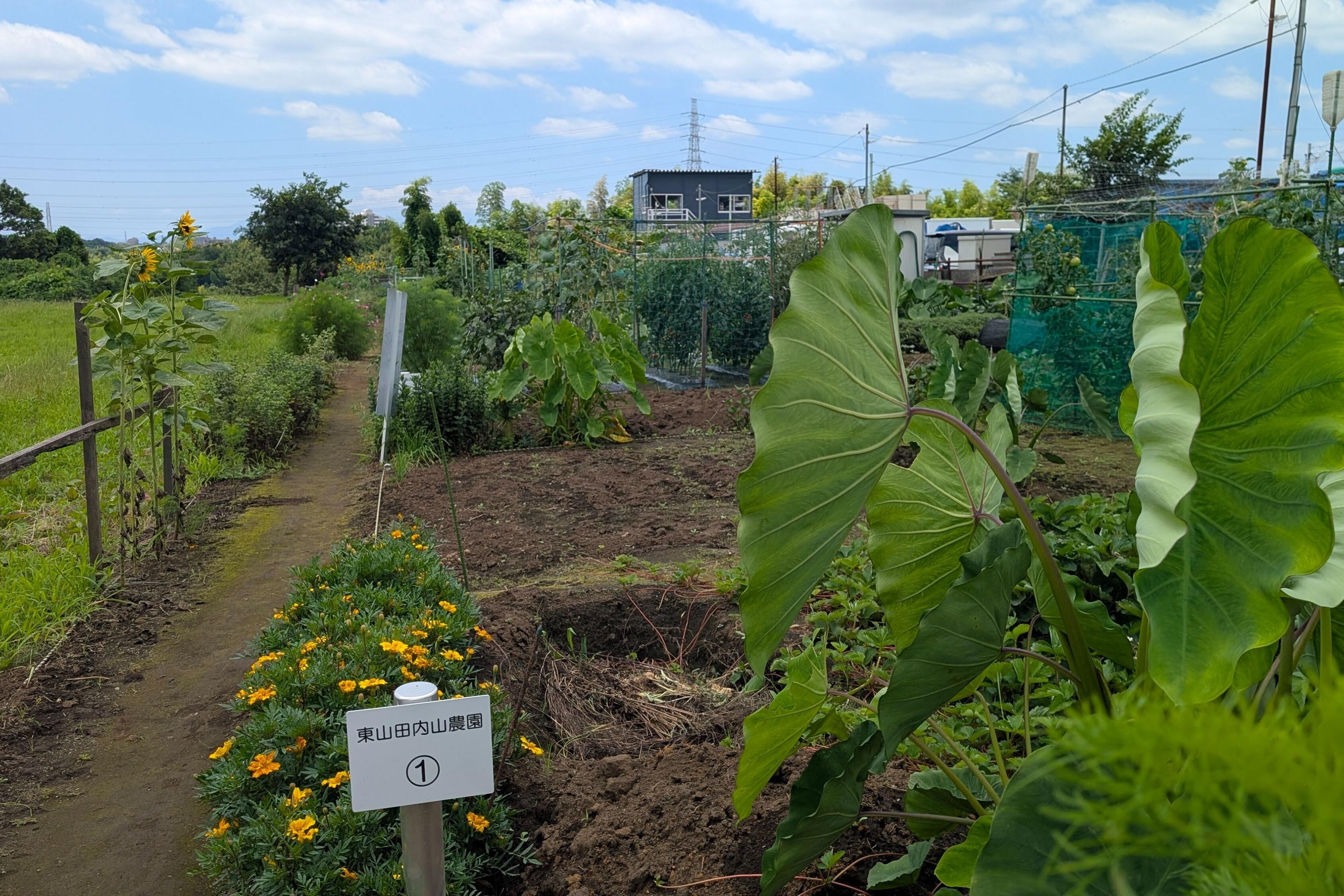 東山田内山農園